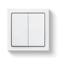 Busch-Jaeger Friends of Hue Schalter