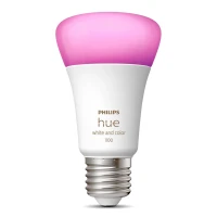 Philips Hue White and Color 1100lm